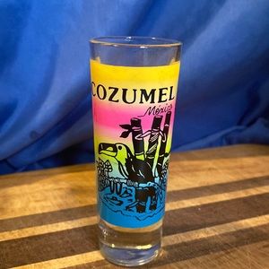 Cozumel Mexico Shot glass